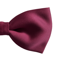 Burgundy bow tie