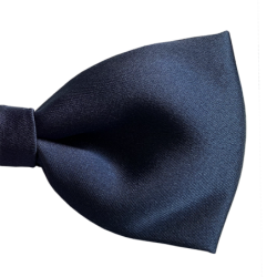 Navy blue bow tie