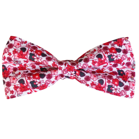 Red Liberty bow tie